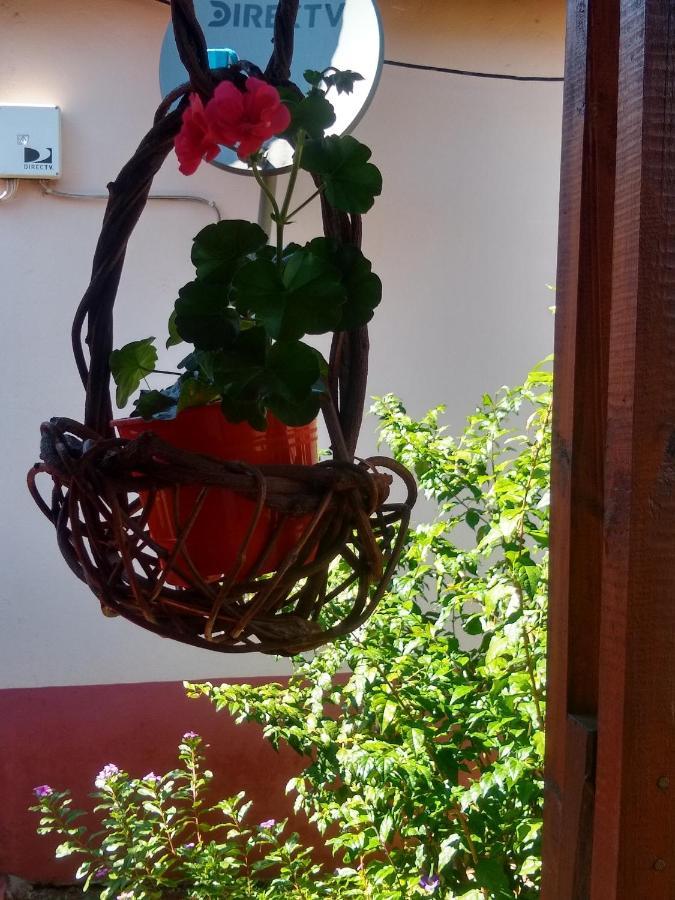 Iguazu Cabanas 伊瓜苏港 外观 照片